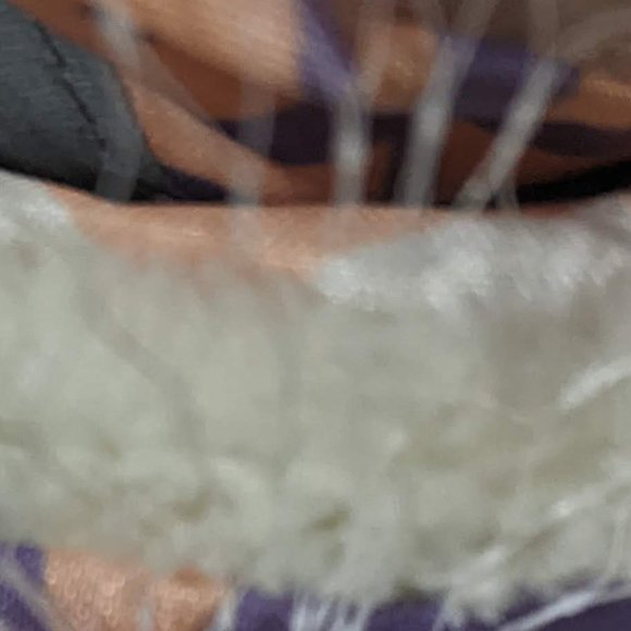 Heart to Tail Dog Rain Boots - Picture 6 of 10